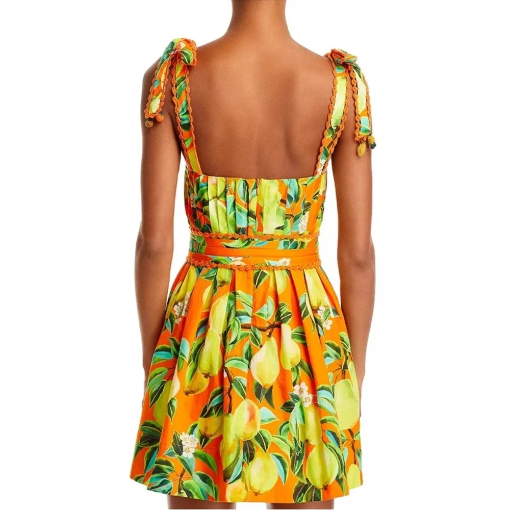 NWT FARM Rio Chic Pears Belted Mini Dress - Picture 3 of 13